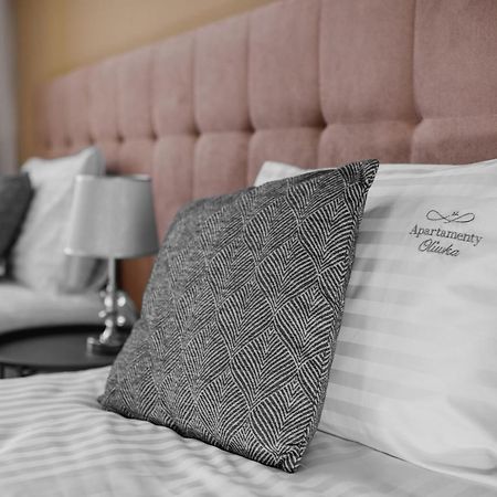 Apartamenty Oliwka Έλμπλαγκ Εξωτερικό φωτογραφία